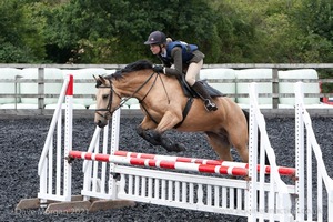 Class 6 - Fences not above 2'9